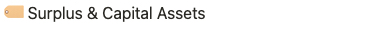 asset_surplus_tile.jpg