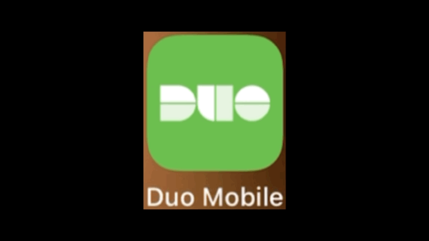 duo_setup.gif