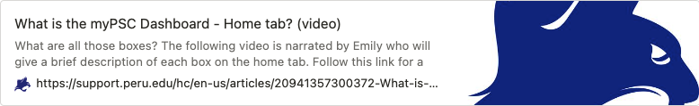 dash_vid.png