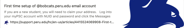 first_email_setup.png